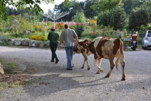 Grillabend-2011_05