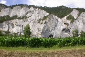 DSCN7438